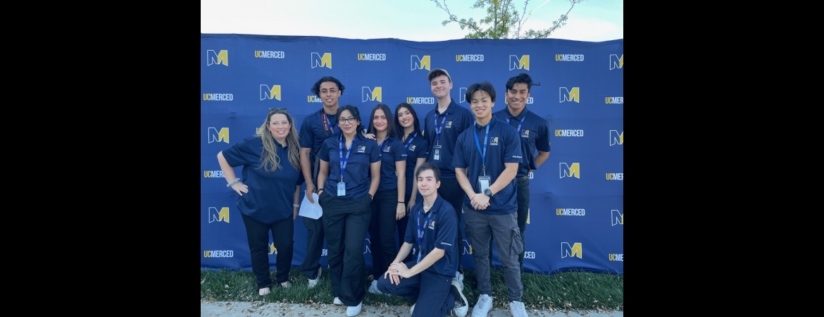 Media Cats Team