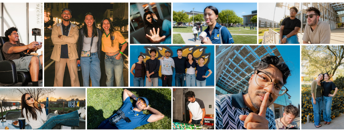 A collage of the Media Cats Team